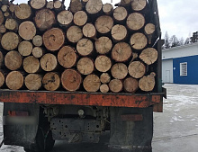 Снизить цену: Минприроды Бурятии представило законопроект о дровах